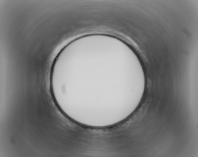 X0000113171512200910021511