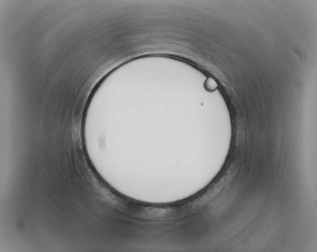 X0000113171513200910021511