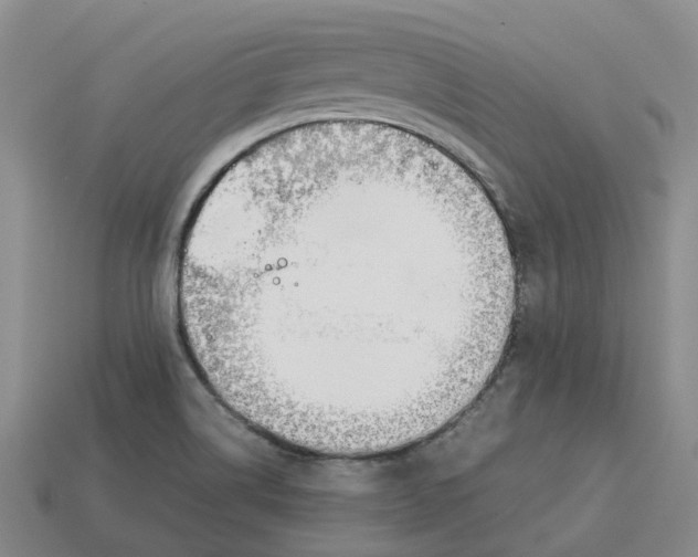 X0000113171514200910021511