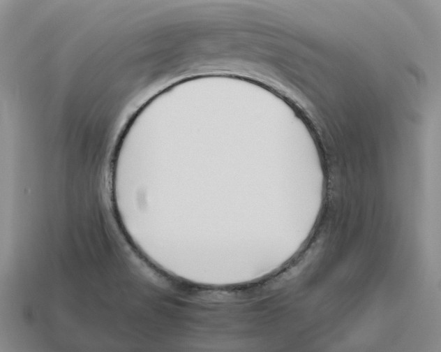 X0000113171517200910021511