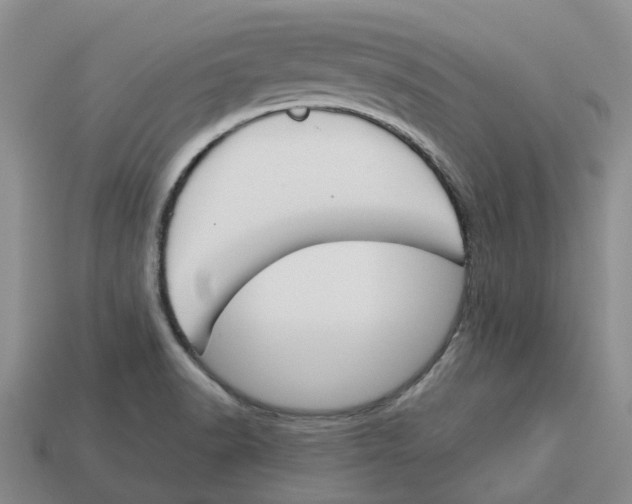 X0000113171518200910021511