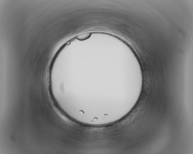 X0000113171519200910021511