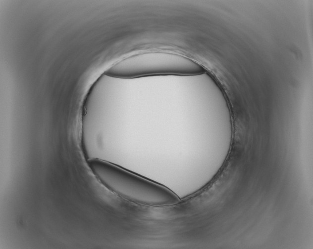 X0000113171520200910021511