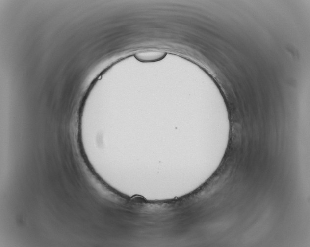 X0000113171523200910021511