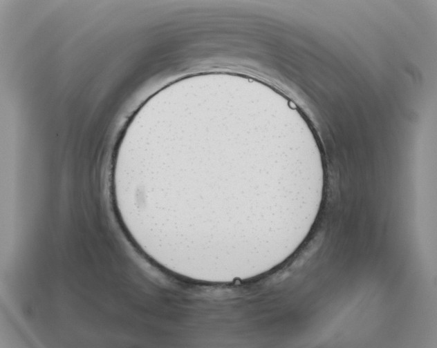 X0000113171525200910021511