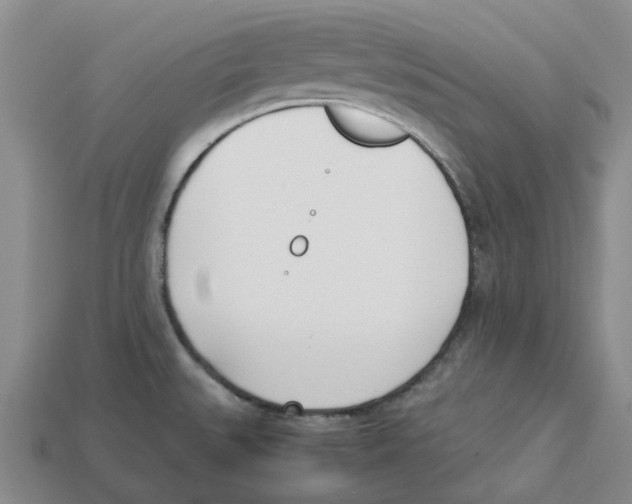 X0000113171527200910021511