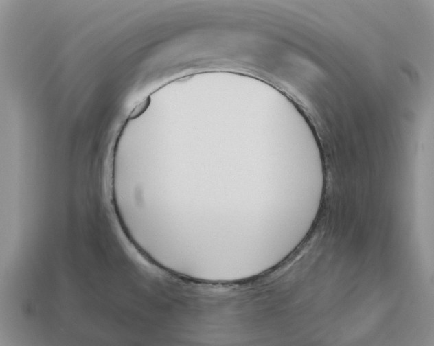 X0000113171528200910021511