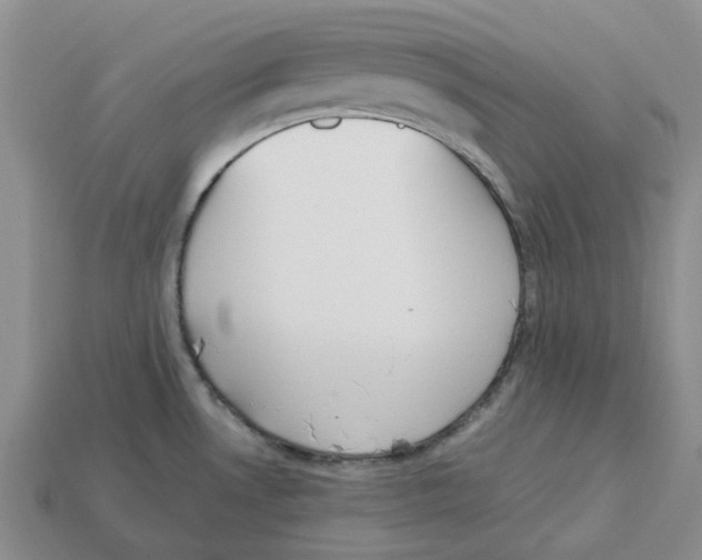 X0000113171530200910021511