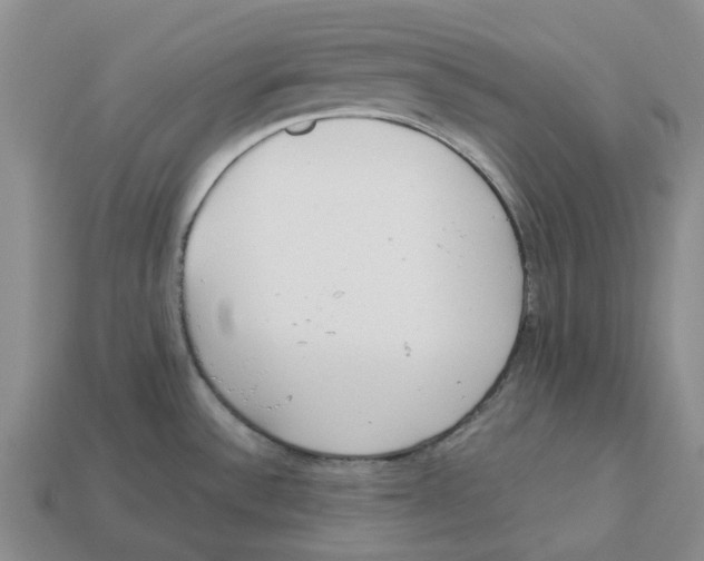 X0000113171532200910021511