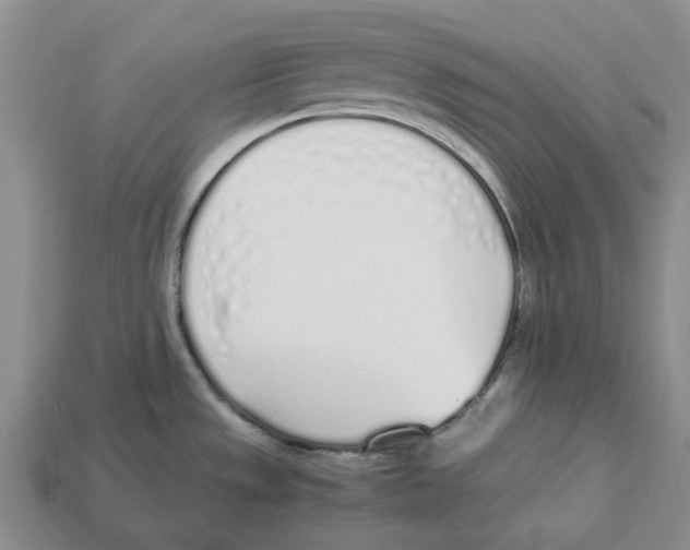 X0000113171533200910021511