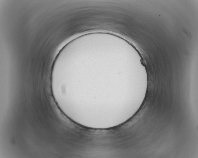 X0000113171534200910021511