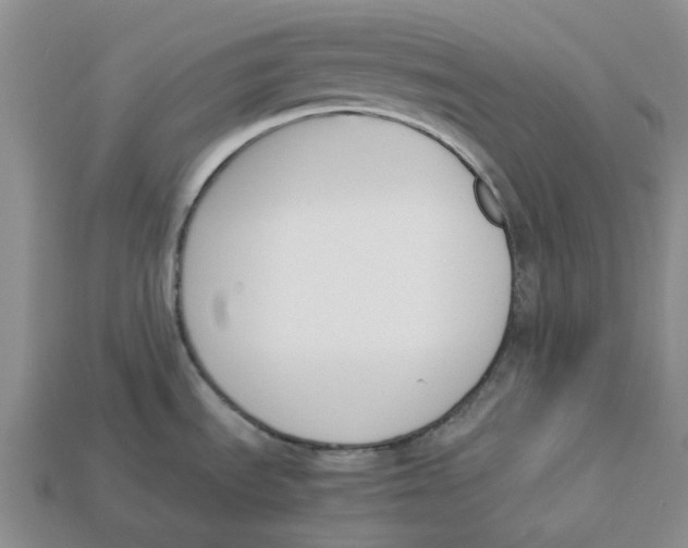 X0000113171535200910021511