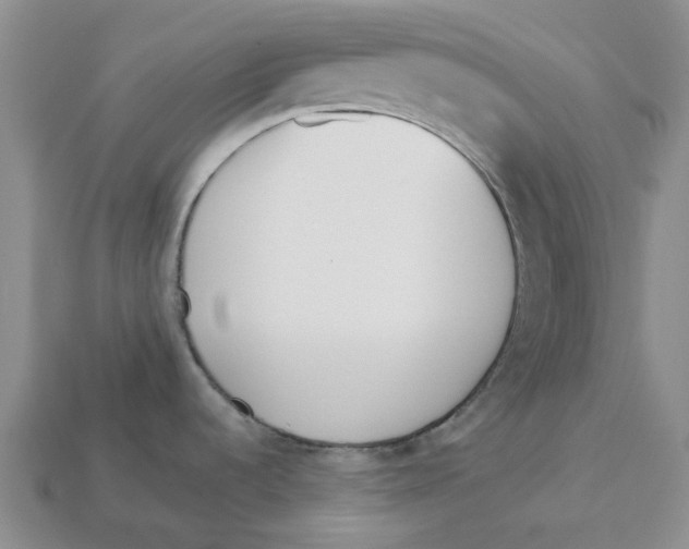 X0000113171536200910021511