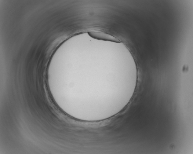 X0000113170001200910161319