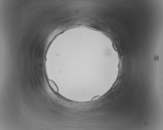 X0000113170003200910161319