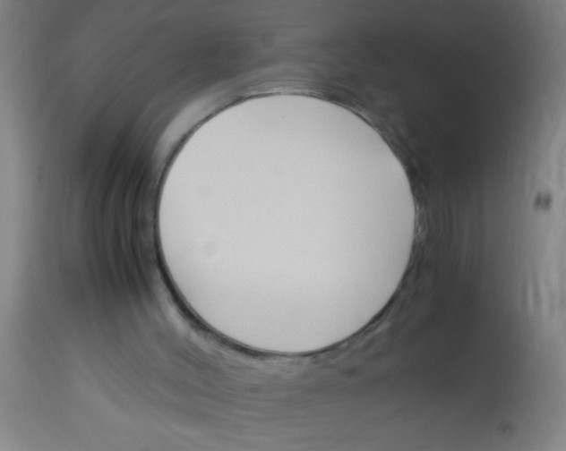 X0000113170004200910161319