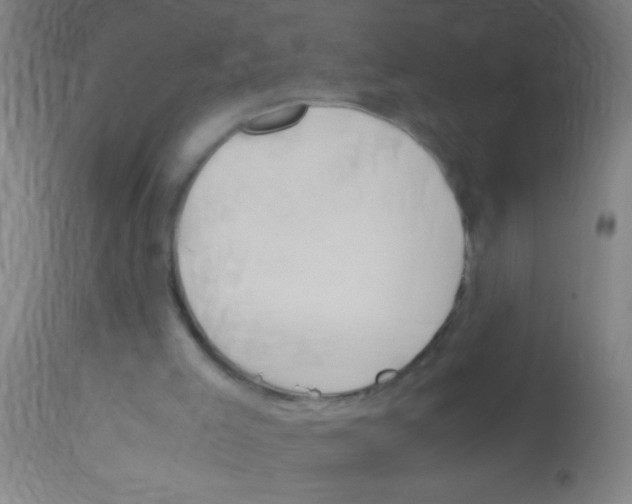 X0000113170005200910161319