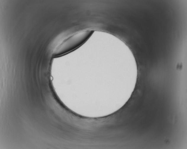 X0000113170007200910161319