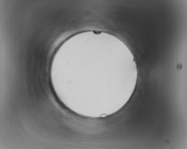 X0000113170008200910161319