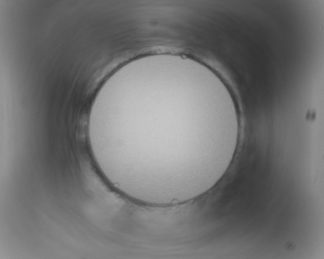 X0000113170009200910161319