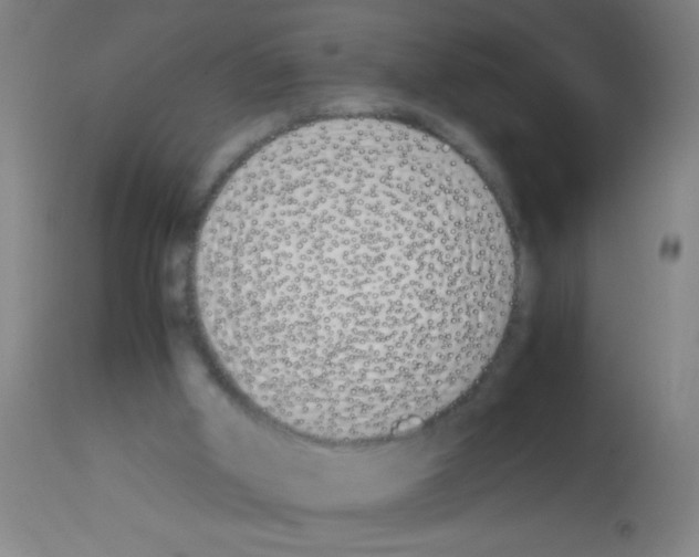 X0000113170010200910161319