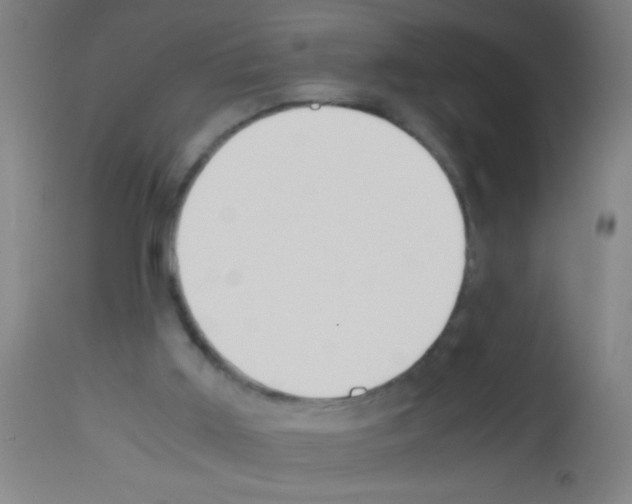 X0000113170011200910161319