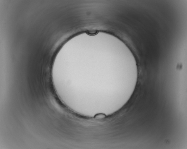 X0000113170012200910161319