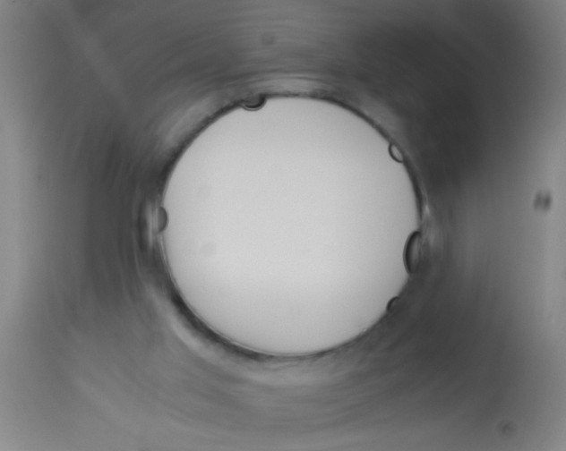 X0000113170013200910161319