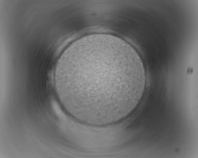 X0000113170014200910161319