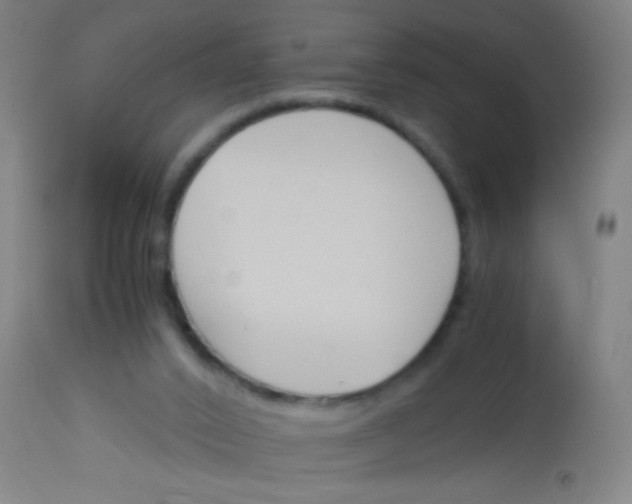 X0000113170016200910161319