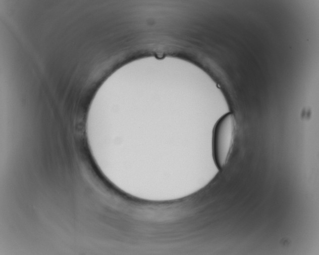 X0000113170017200910161319