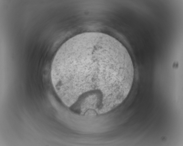 X0000113170018200910161319