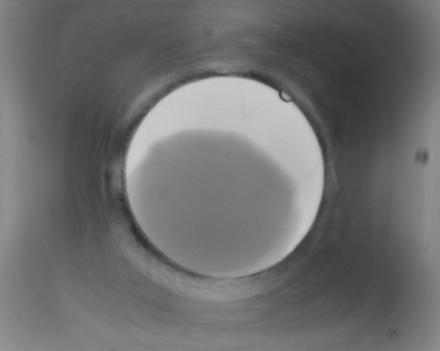 X0000113170019200910161319