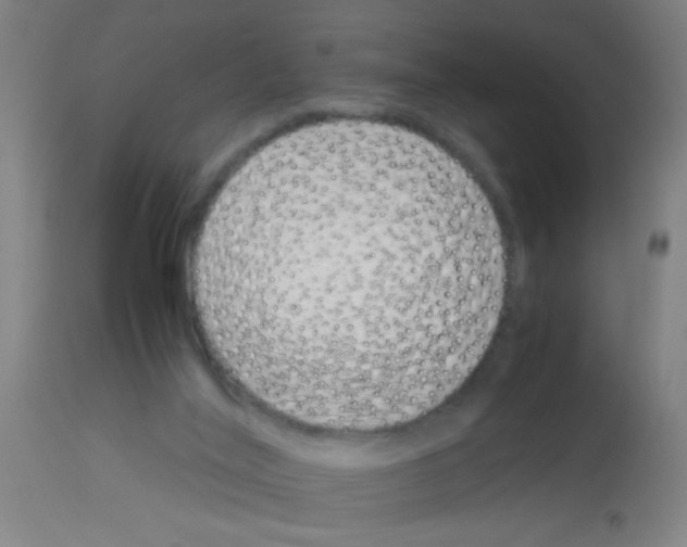 X0000113170020200910161319