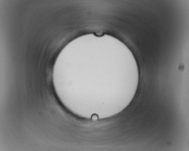 X0000113170021200910161319