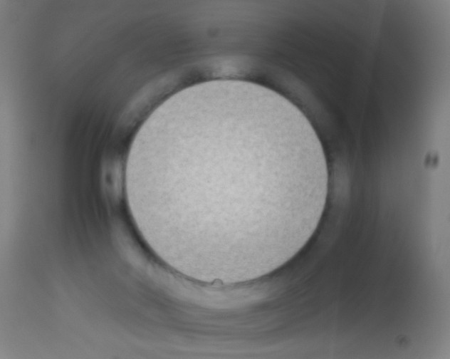 X0000113170022200910161319