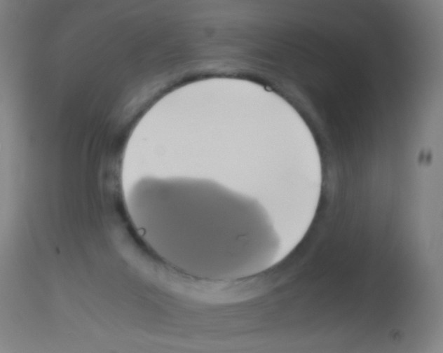 X0000113170023200910161319