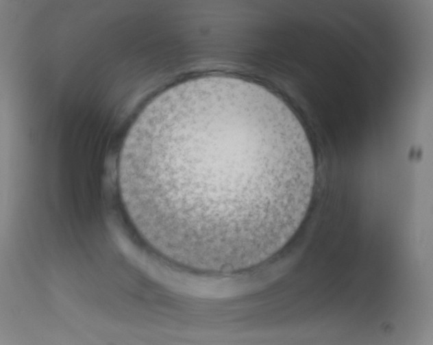 X0000113170024200910161319