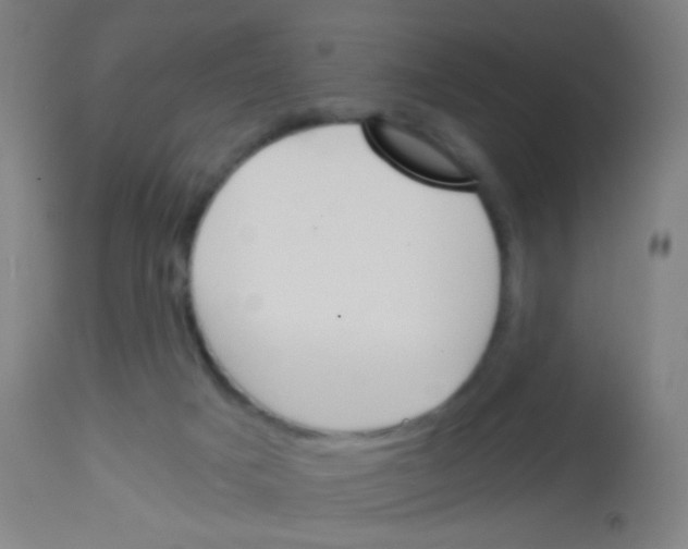 X0000113170025200910161319