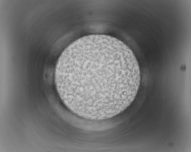 X0000113170026200910161319