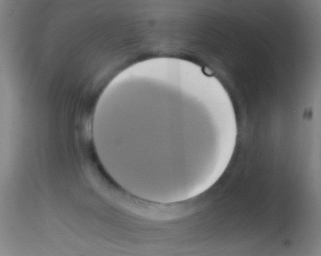 X0000113170027200910161319