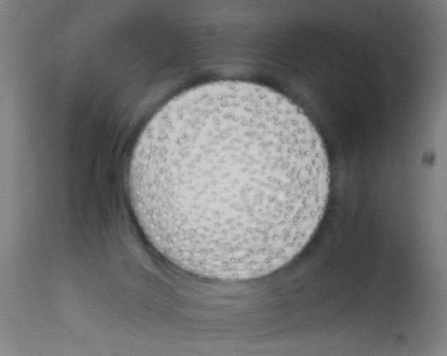 X0000113170028200910161318