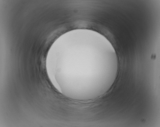 X0000113170029200910161318