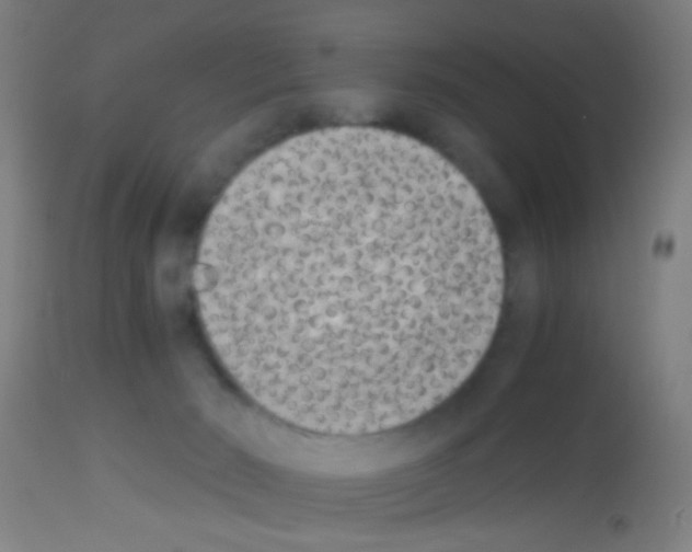 X0000113170030200910161318