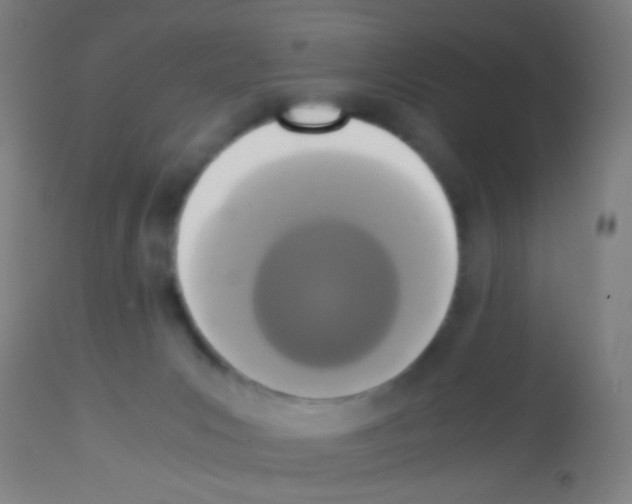 X0000113170031200910161318