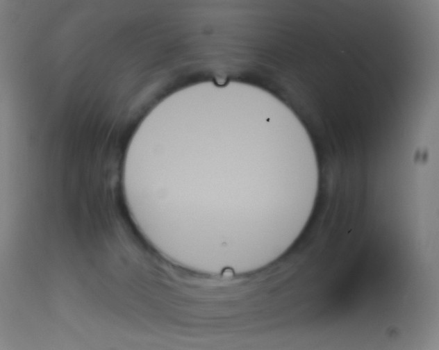 X0000113170032200910161318