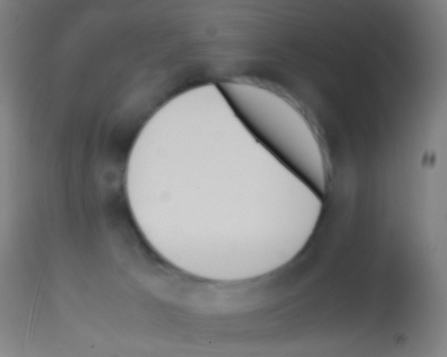 X0000113170033200910161318