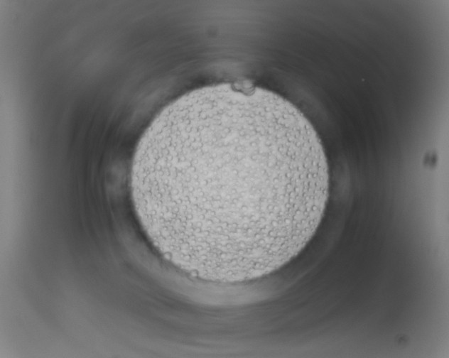 X0000113170034200910161318