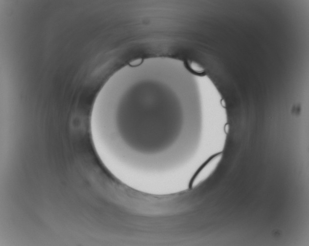 X0000113170035200910161318