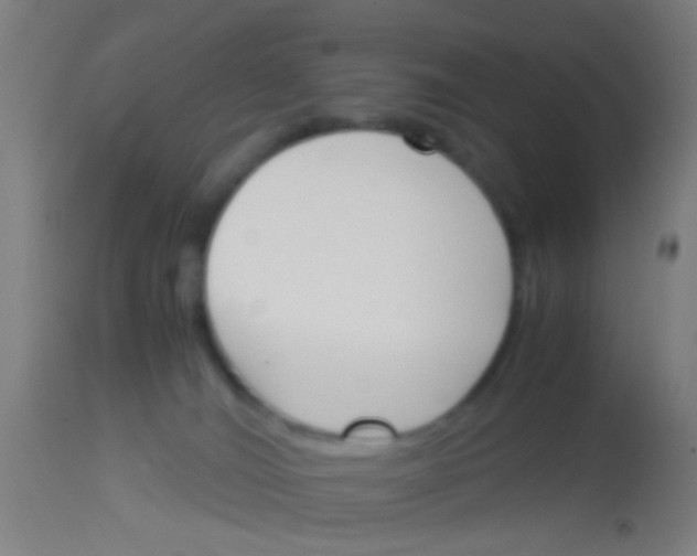 X0000113170036200910161318